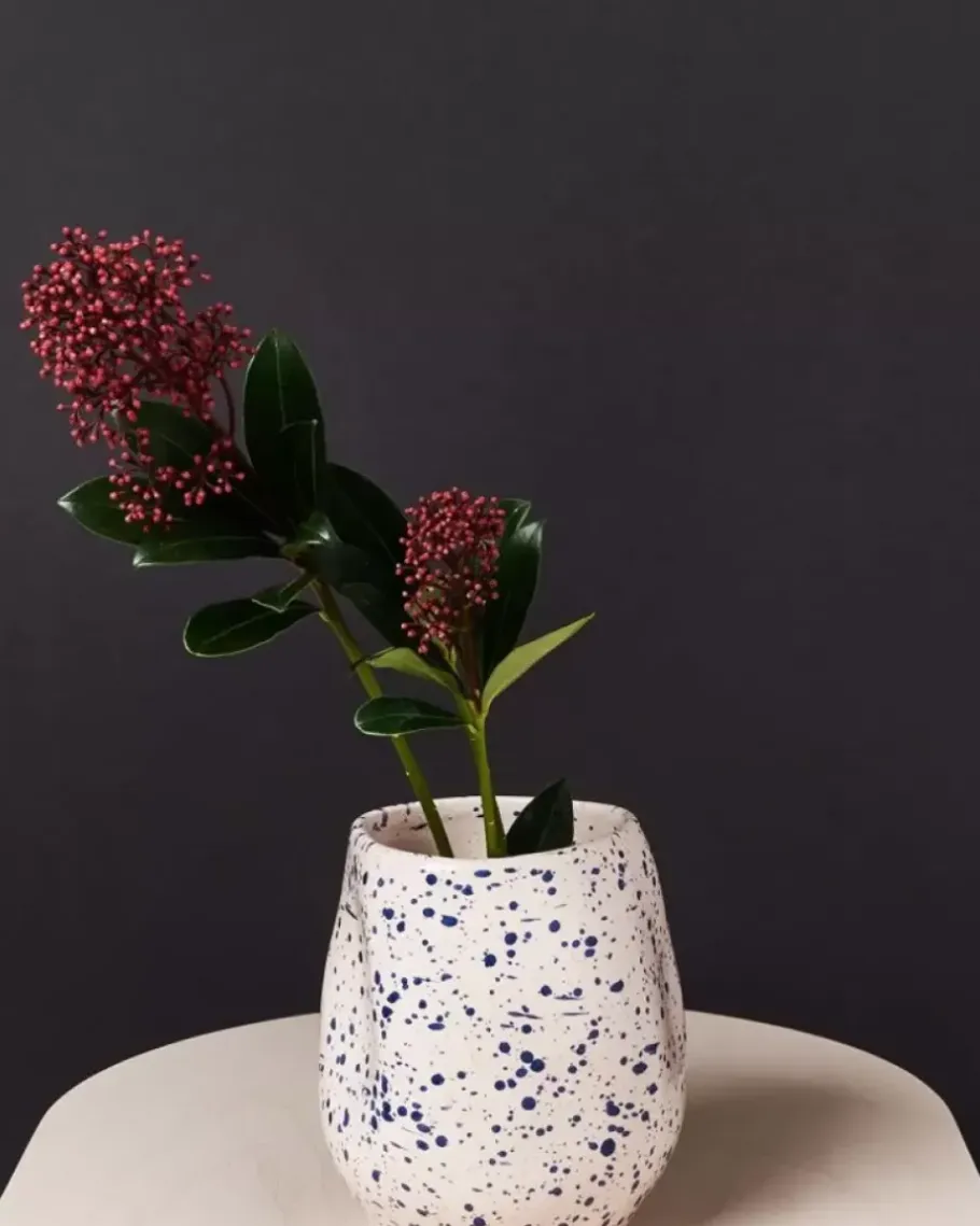 Motel a Miio Vasen>Joao Vase M Rose Blau Gesprenkelt